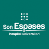 Logo Son Espases